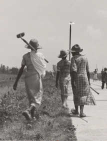 sharecropping and industrialized agriculture